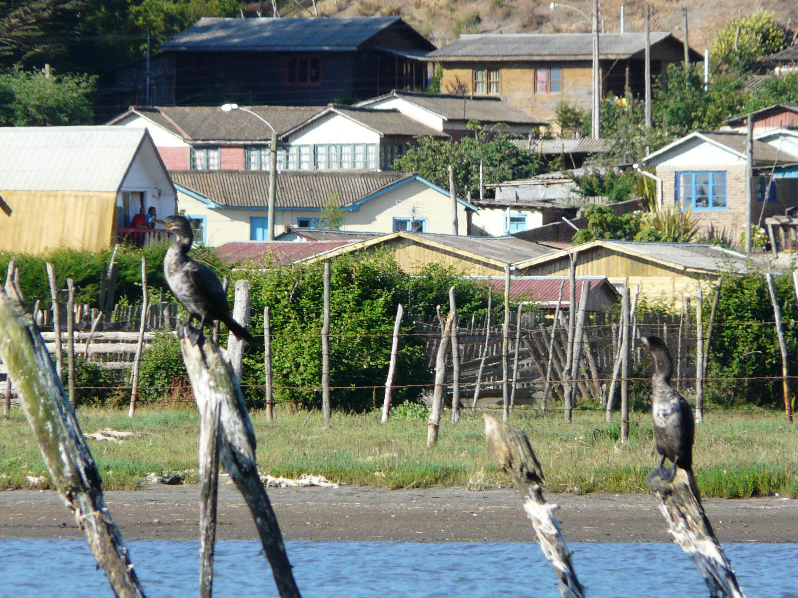 Cáhuil